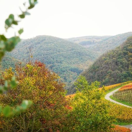 Appartamento Foersters Weinterrassen Bad Neuenahr-Ahrweiler Esterno foto