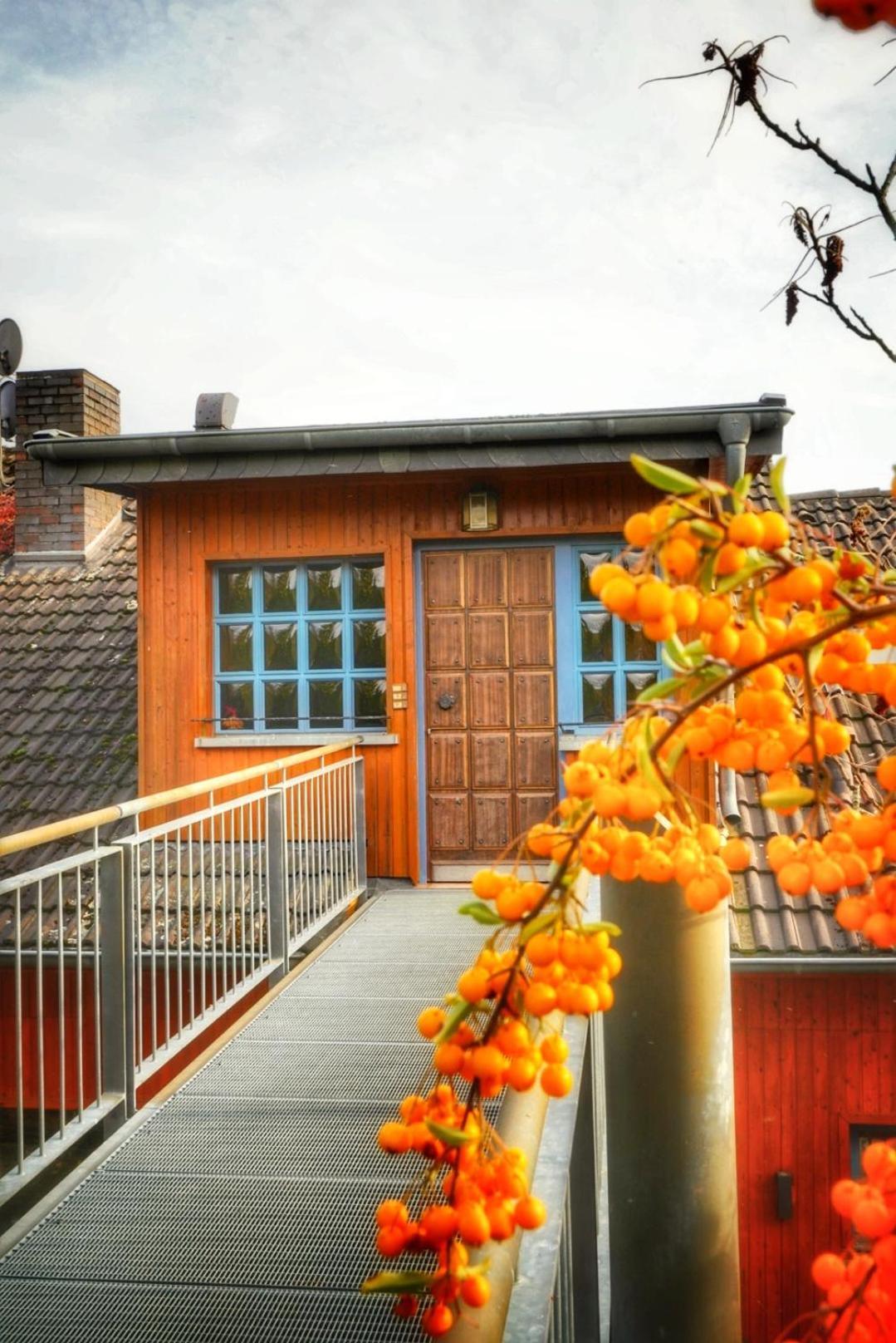 Appartamento Foersters Weinterrassen Bad Neuenahr-Ahrweiler Esterno foto