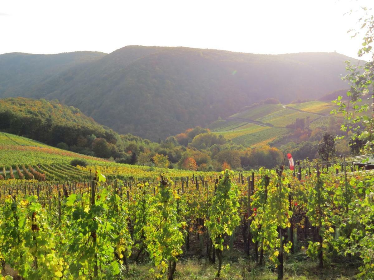 Appartamento Foersters Weinterrassen Bad Neuenahr-Ahrweiler Esterno foto