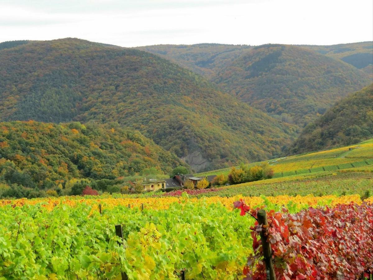 Appartamento Foersters Weinterrassen Bad Neuenahr-Ahrweiler Esterno foto
